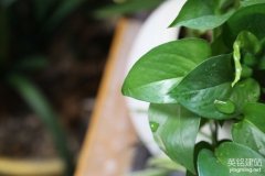 望城網(wǎng)站公司